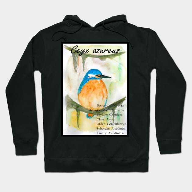 Kingfisher Hoodie by artbyluko